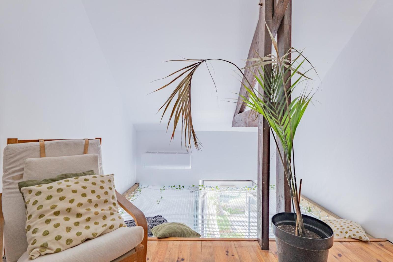 Apartment Golfe Juan T2 Mezzanine 40m²+ Parking Vallauris